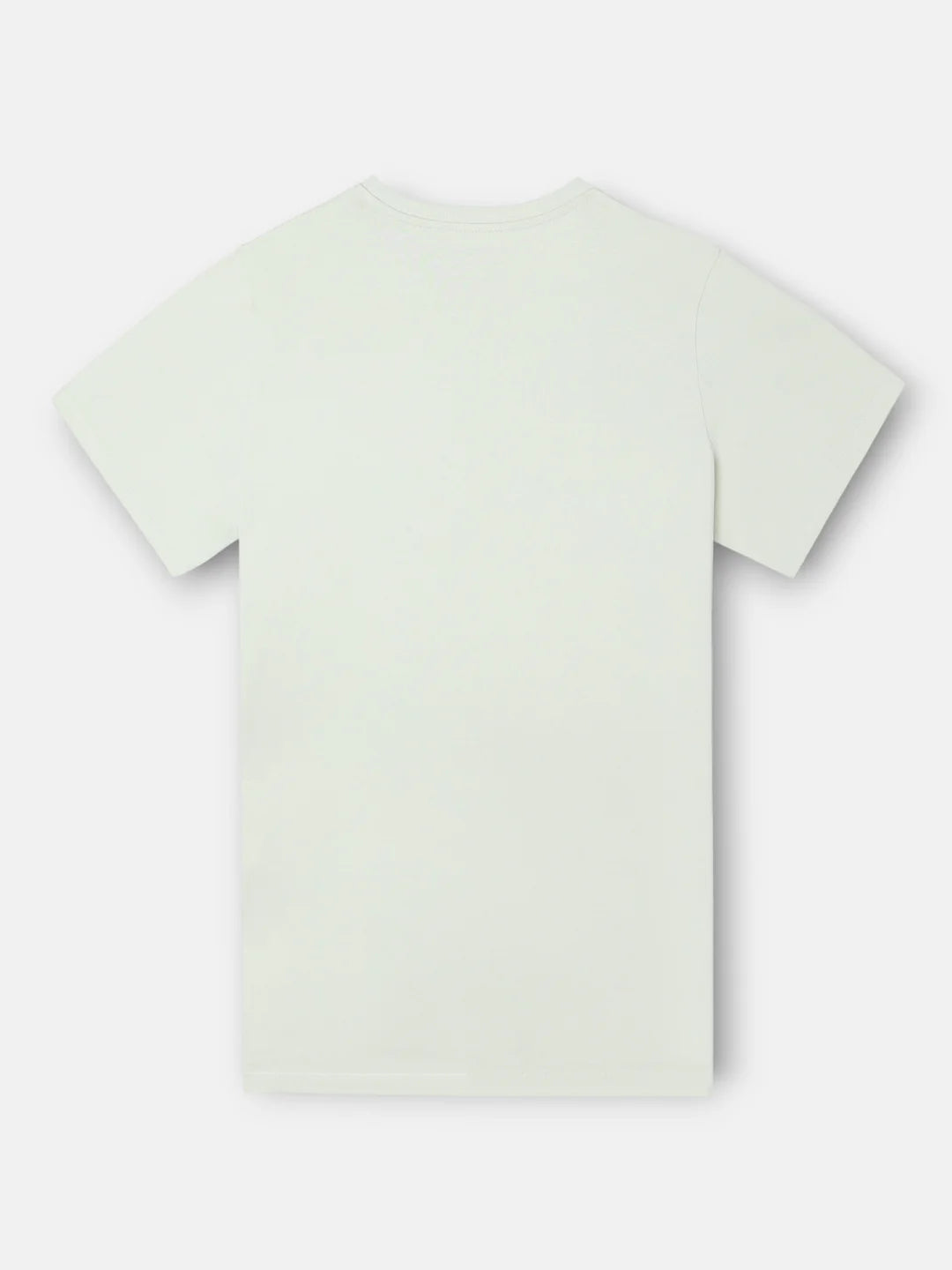 CAMISETA SILBON MINILOGO - VERDE CLARO