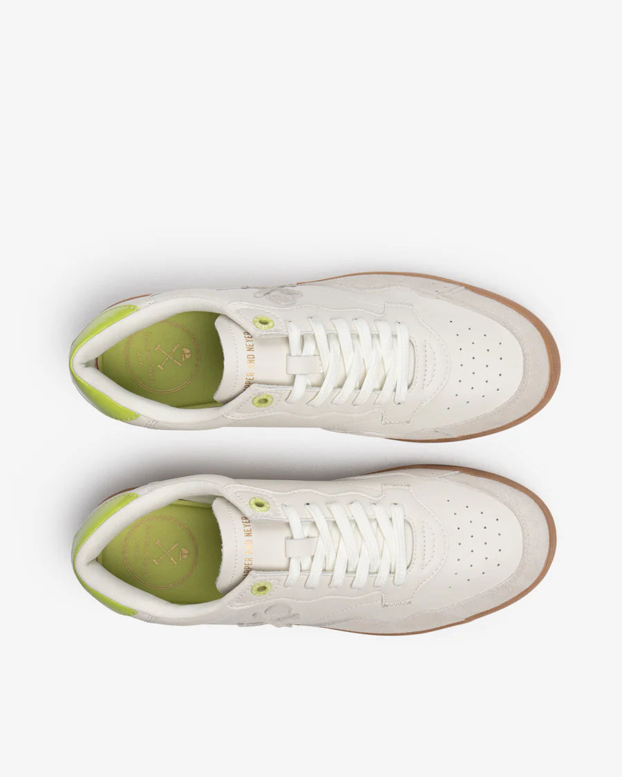 SNEAKER HARPER PARK AVENU - PISTACHO
